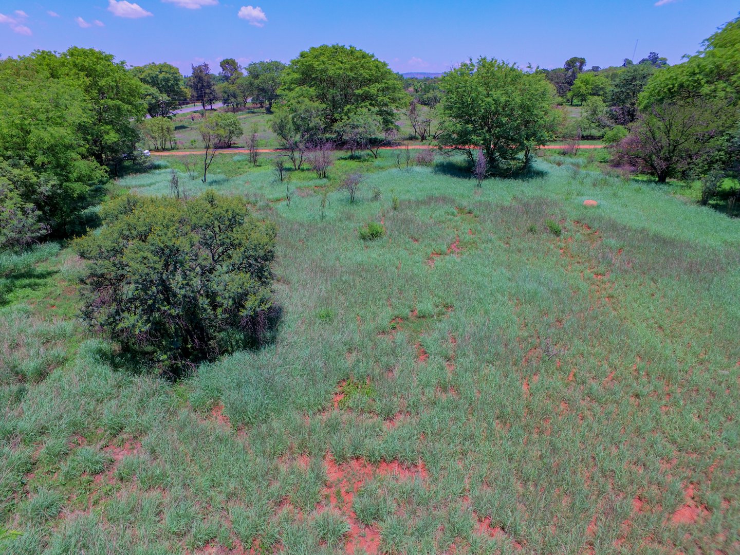 4 Bedroom Property for Sale in Kameeldrift East Gauteng
