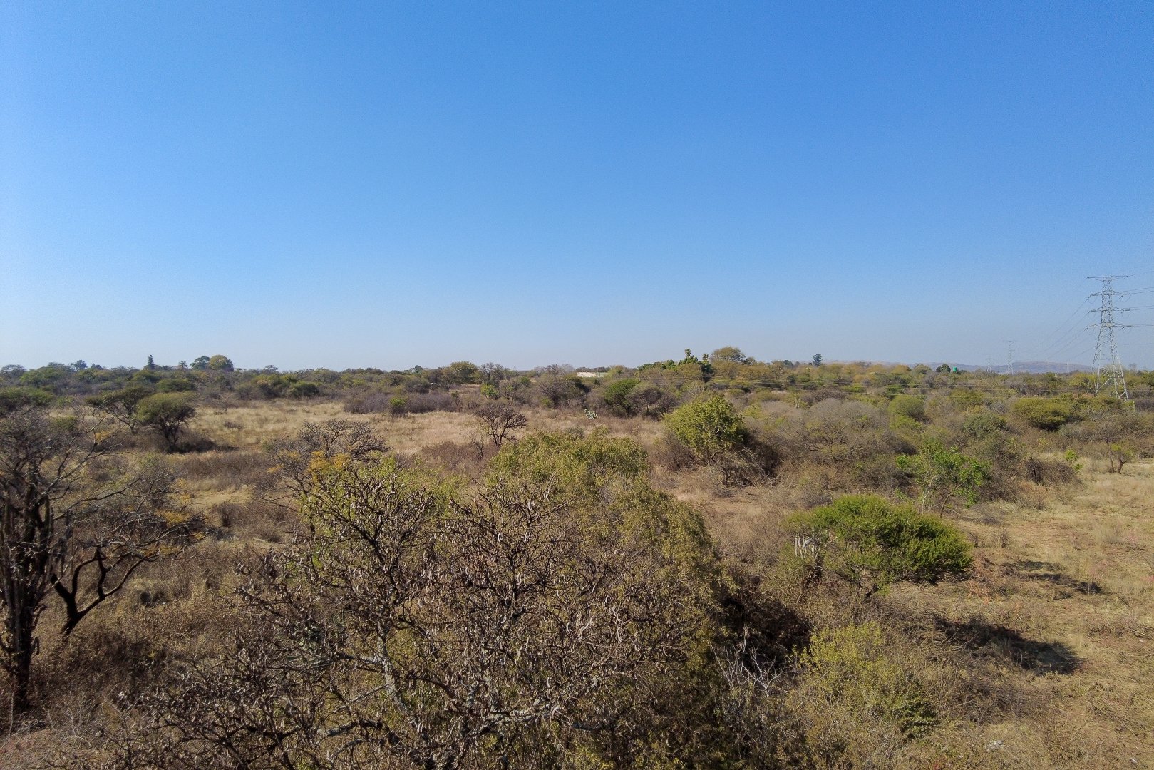 20 Bedroom Property for Sale in Kameeldrift East Gauteng