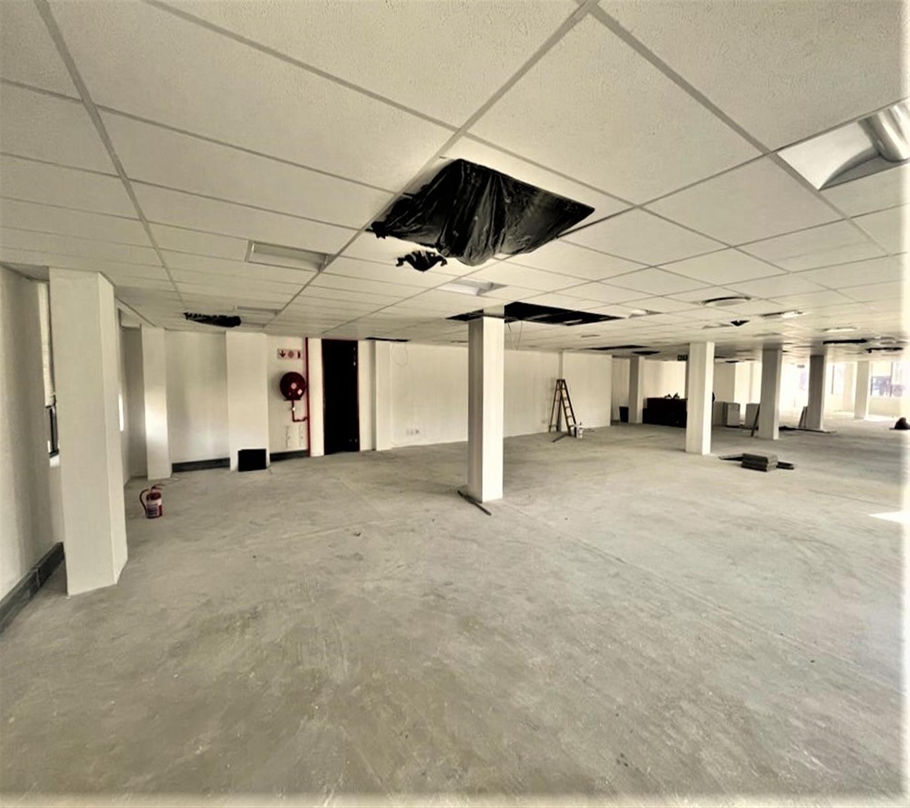 To Let commercial Property for Rent in Parktown Gauteng