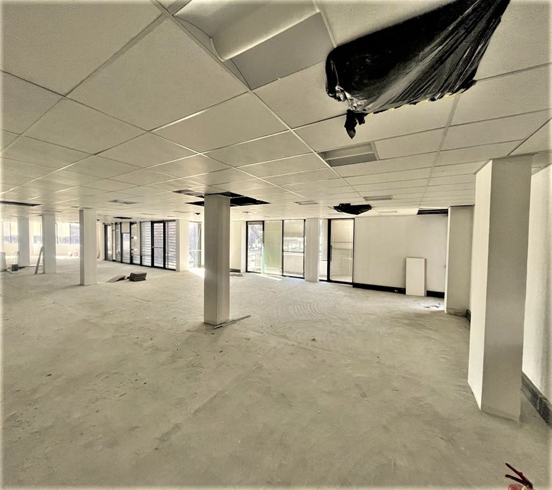 To Let commercial Property for Rent in Parktown Gauteng