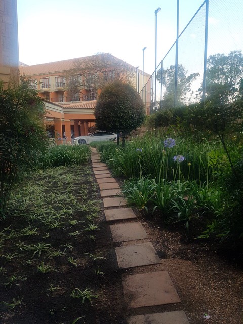 To Let 1 Bedroom Property for Rent in Morningside Gauteng