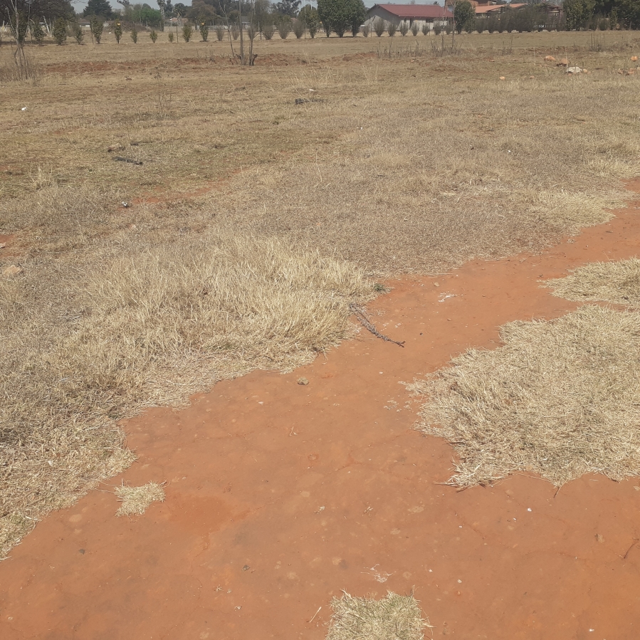 0 Bedroom Property for Sale in Daggafontein Gauteng