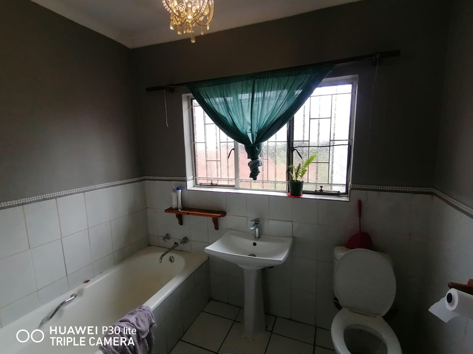 To Let 3 Bedroom Property for Rent in Meyerspark Gauteng