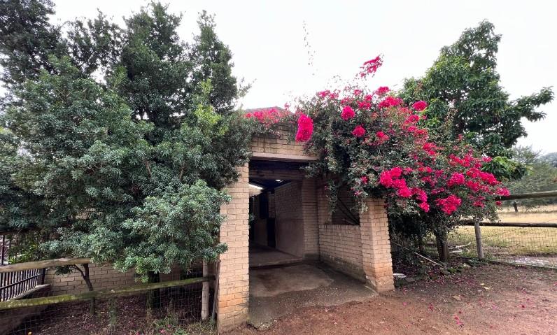 10 Bedroom Property for Sale in Laezonia Gauteng