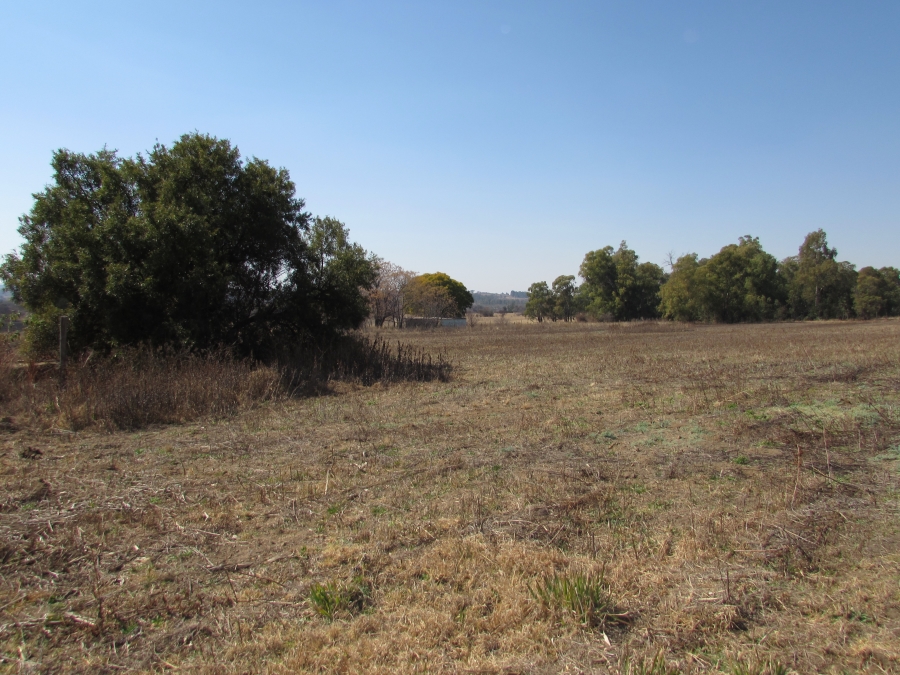 5 Bedroom Property for Sale in Agricultural Holding 475 Gauteng