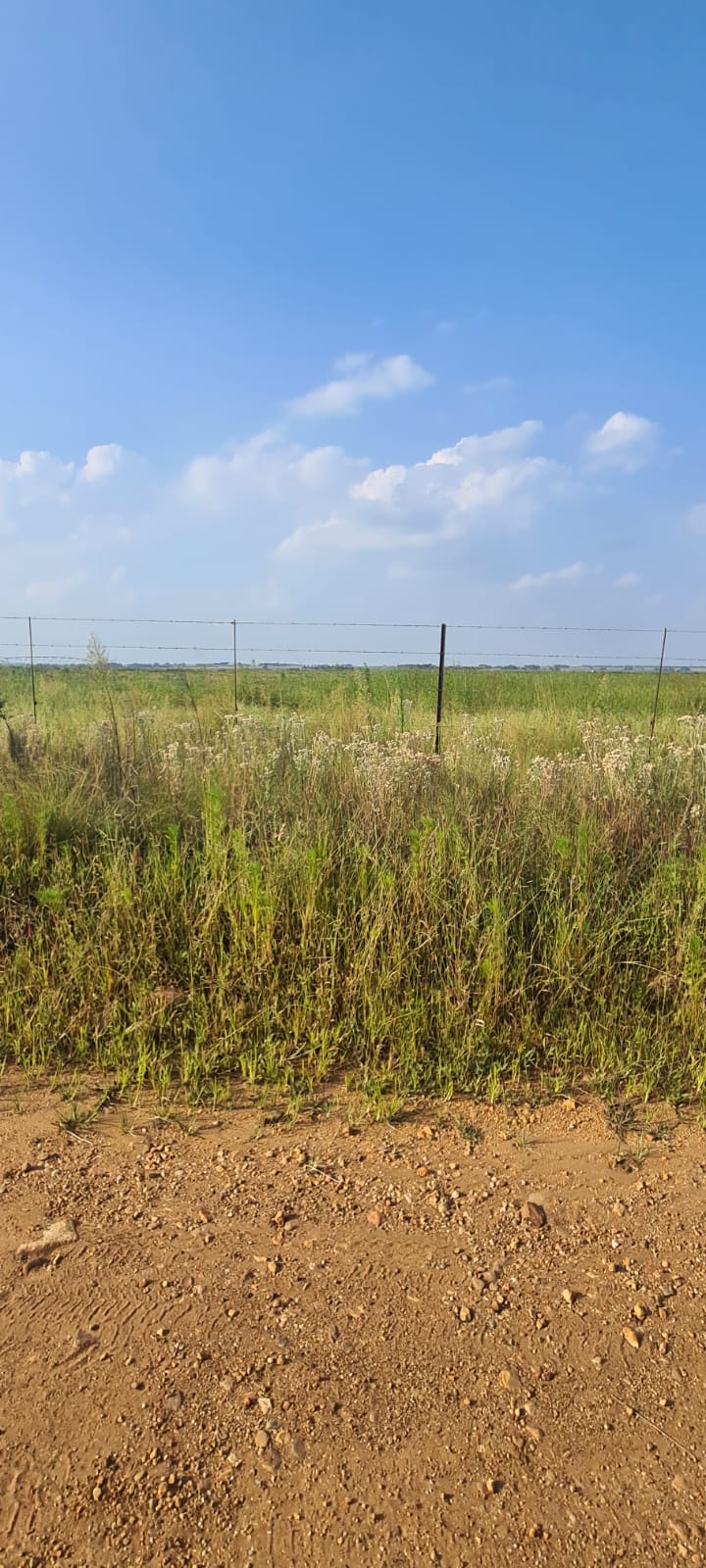 0 Bedroom Property for Sale in Witkop Gauteng