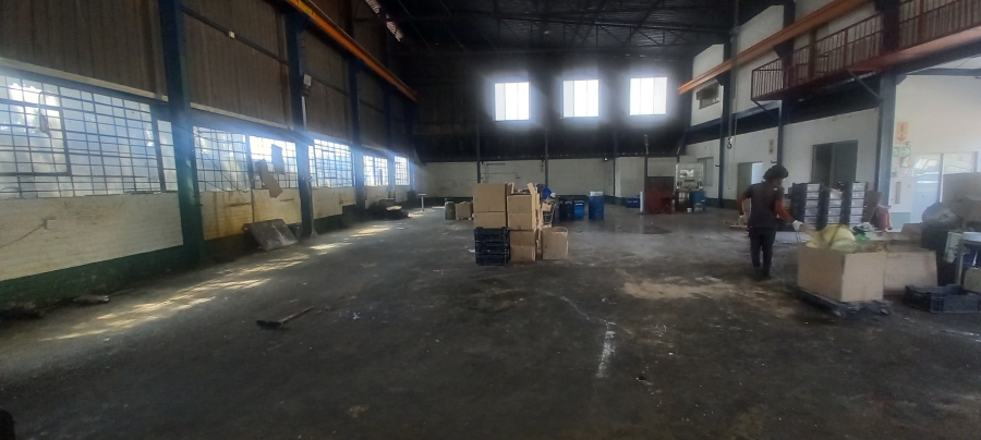 To Let commercial Property for Rent in Elandsfontein Gauteng