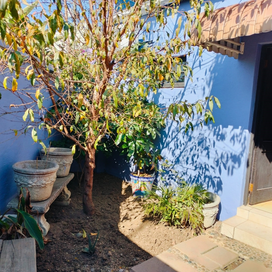 To Let 3 Bedroom Property for Rent in Norwood Gauteng