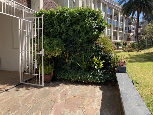 To Let 1 Bedroom Property for Rent in Johannesburg North Gauteng