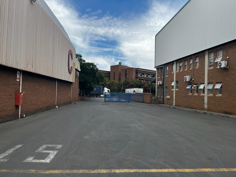 To Let commercial Property for Rent in Alrode Gauteng