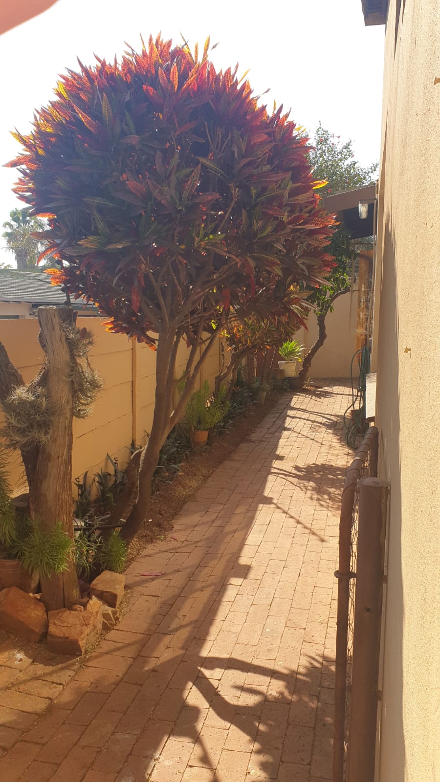 4 Bedroom Property for Sale in Florauna Gauteng