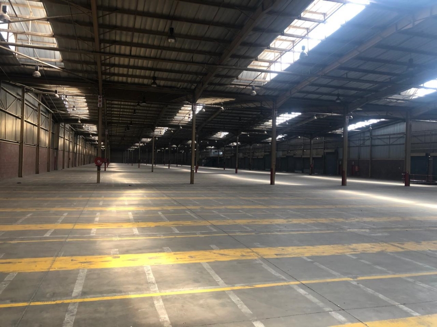 To Let commercial Property for Rent in Alrode Gauteng