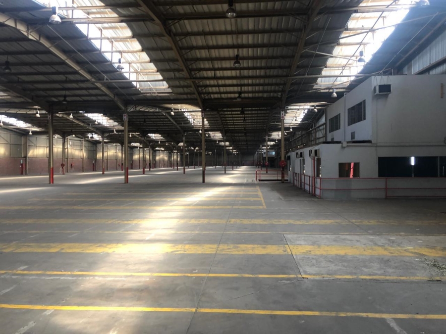 To Let commercial Property for Rent in Alrode Gauteng