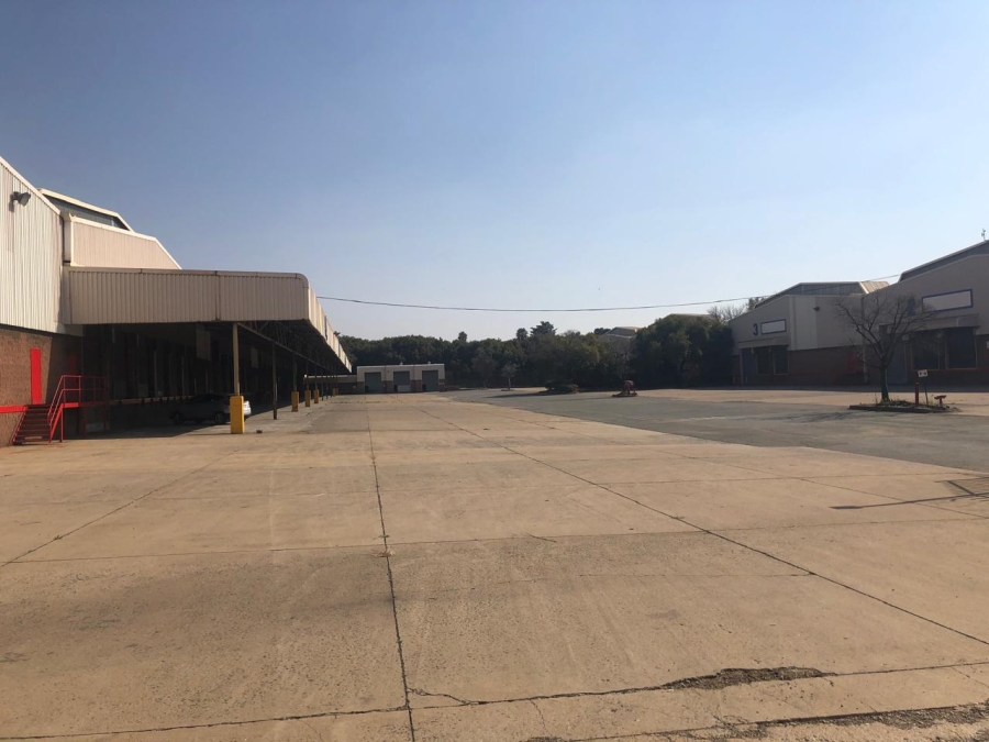 To Let commercial Property for Rent in Alrode Gauteng