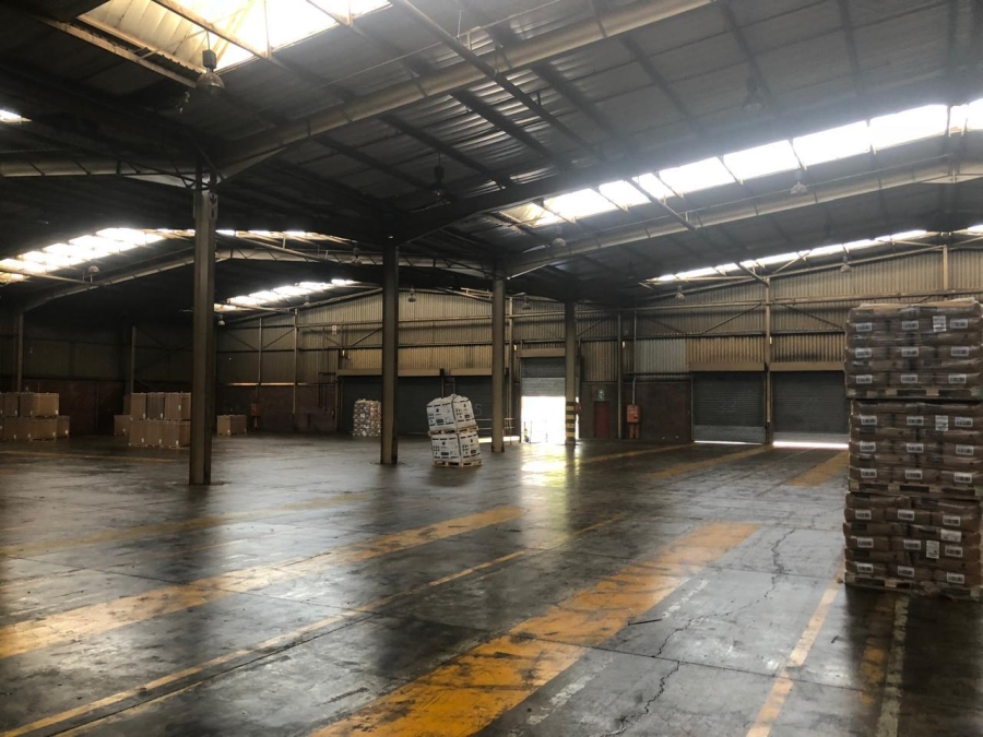 To Let commercial Property for Rent in Alrode Gauteng