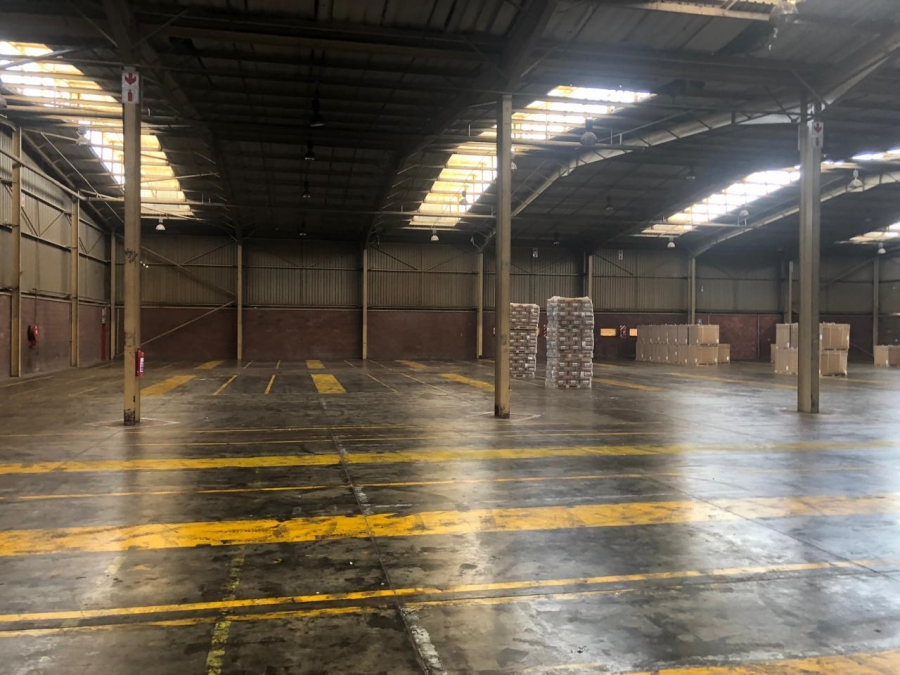 To Let commercial Property for Rent in Alrode Gauteng