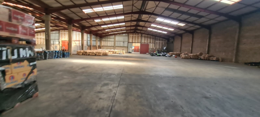 To Let commercial Property for Rent in Jupiter Gauteng