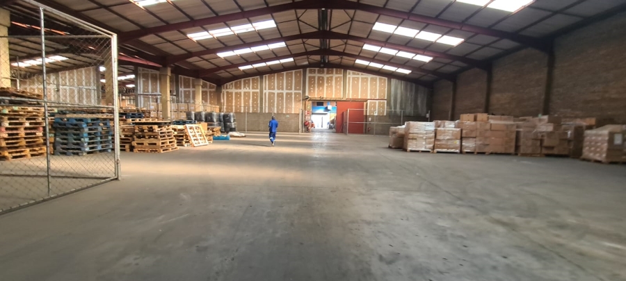 To Let commercial Property for Rent in Jupiter Gauteng