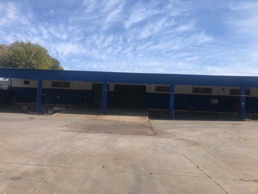 To Let commercial Property for Rent in Alrode Gauteng