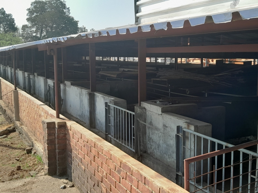 Commercial Property for Sale in Knoppieslaagte Gauteng