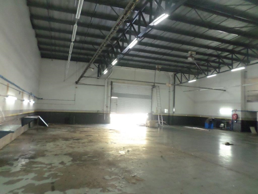 To Let commercial Property for Rent in Meadowdale Gauteng