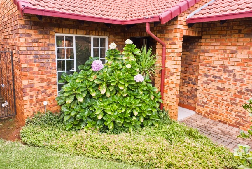 To Let 2 Bedroom Property for Rent in Highveld Gauteng