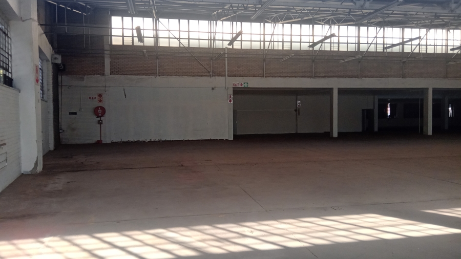 To Let commercial Property for Rent in Benrose Gauteng