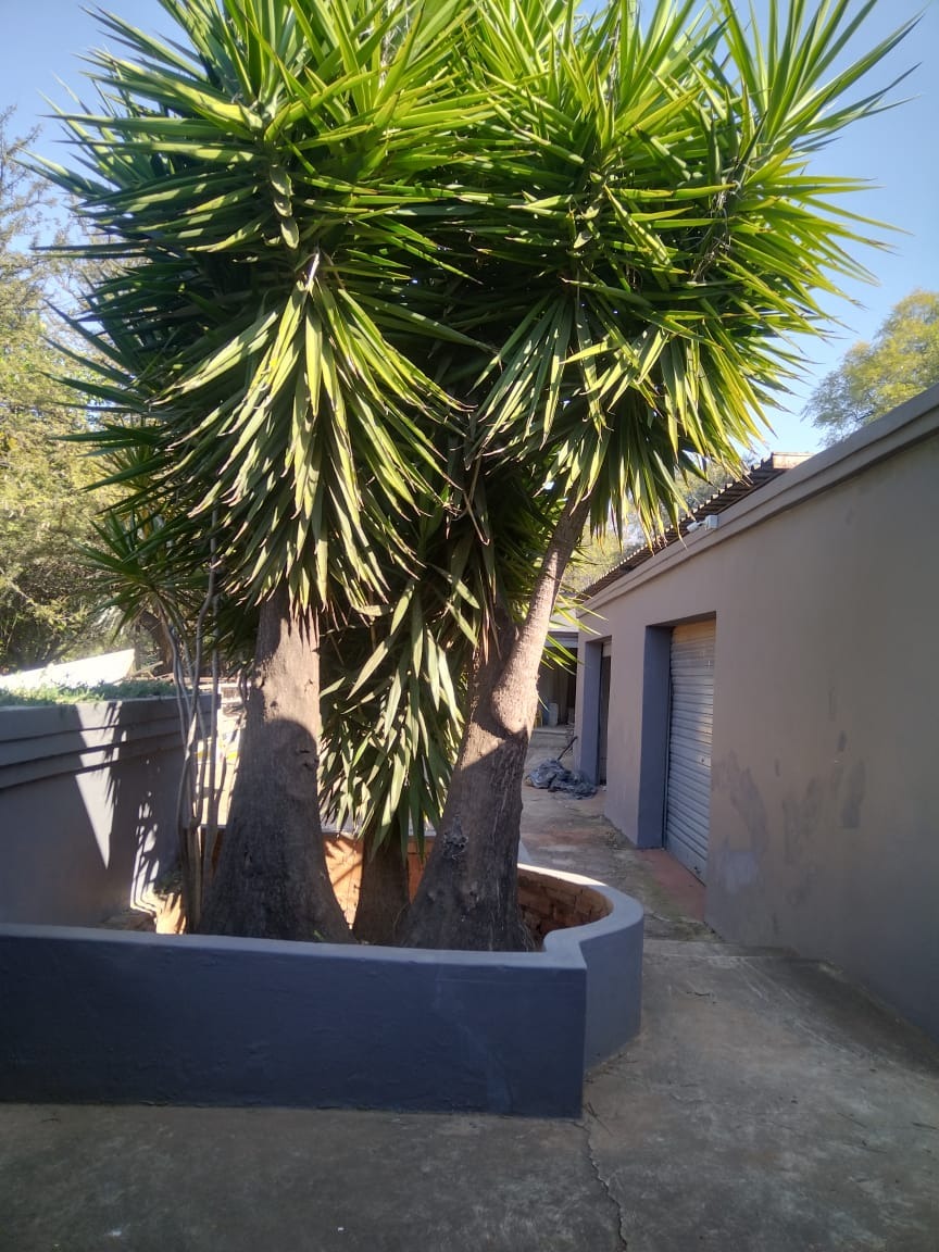 4 Bedroom Property for Sale in Kameeldrift West Gauteng