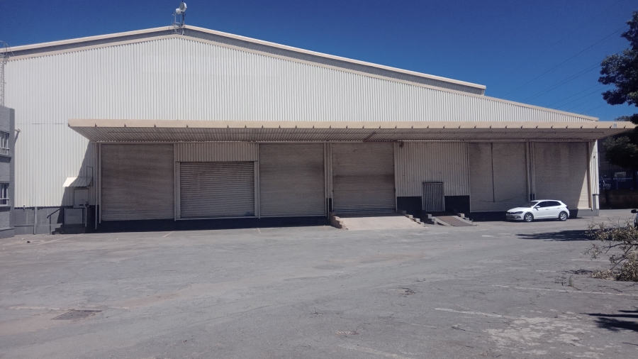 Commercial Property for Sale in Cleveland Gauteng