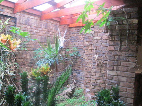 4 Bedroom Property for Sale in Florauna Gauteng