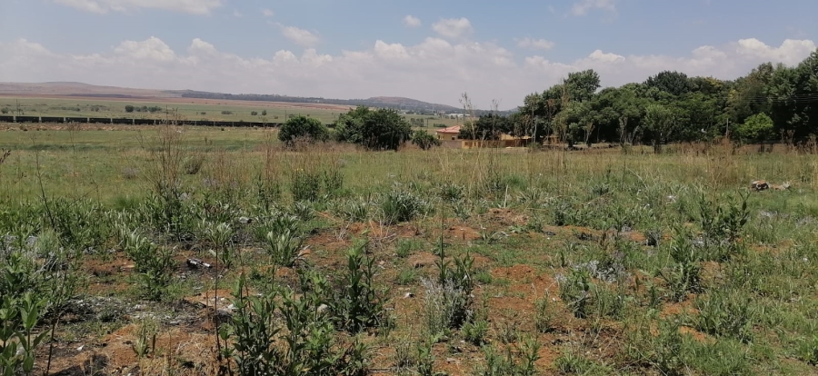 0 Bedroom Property for Sale in Bergsig Gauteng