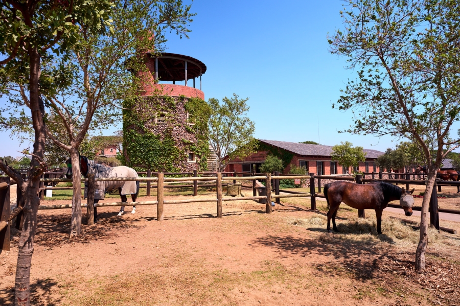 0 Bedroom Property for Sale in Waterfall Equestrian Estate Gauteng