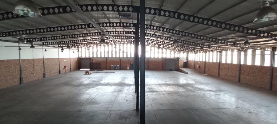 To Let commercial Property for Rent in Meadowdale Gauteng