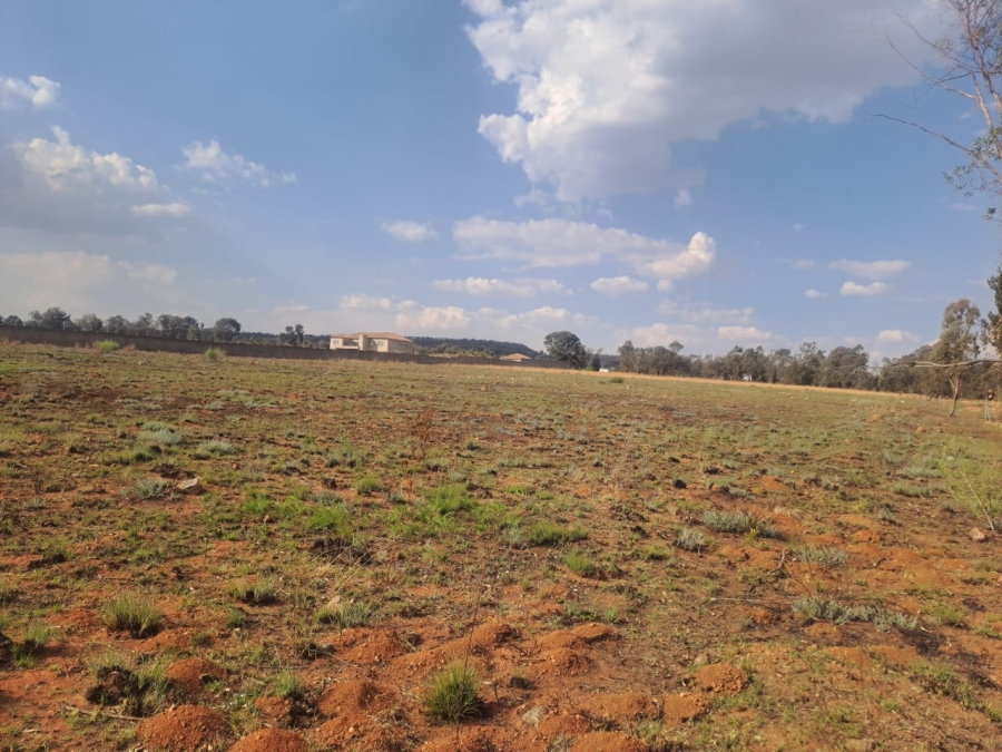 0 Bedroom Property for Sale in Walker Fruit Farms Gauteng