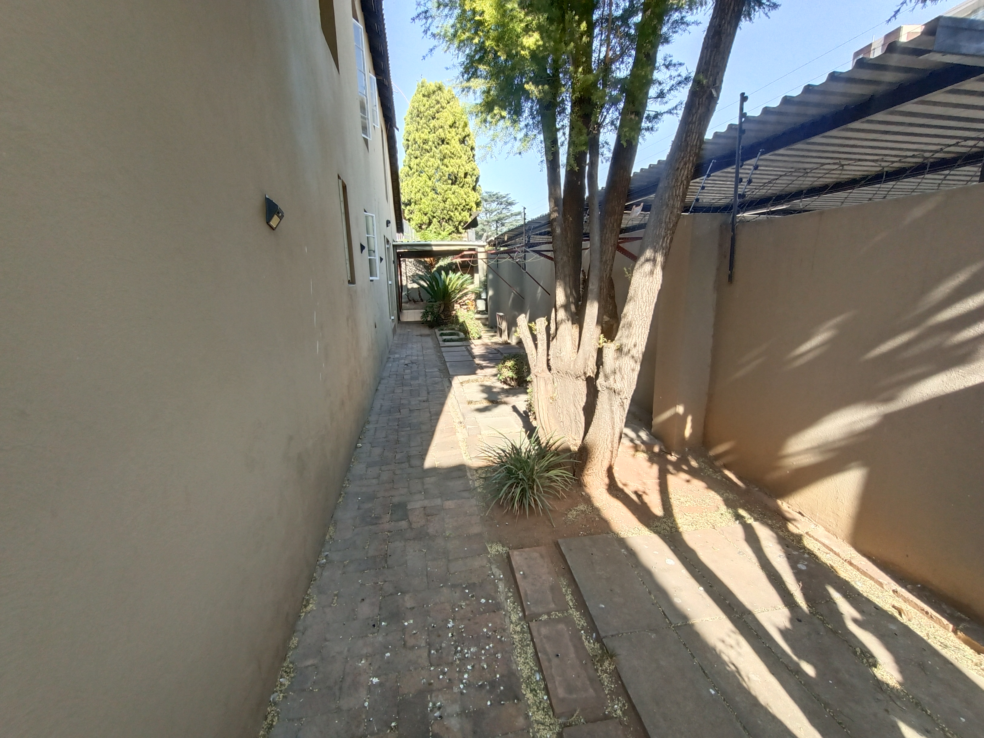 To Let 3 Bedroom Property for Rent in Lambton Gauteng