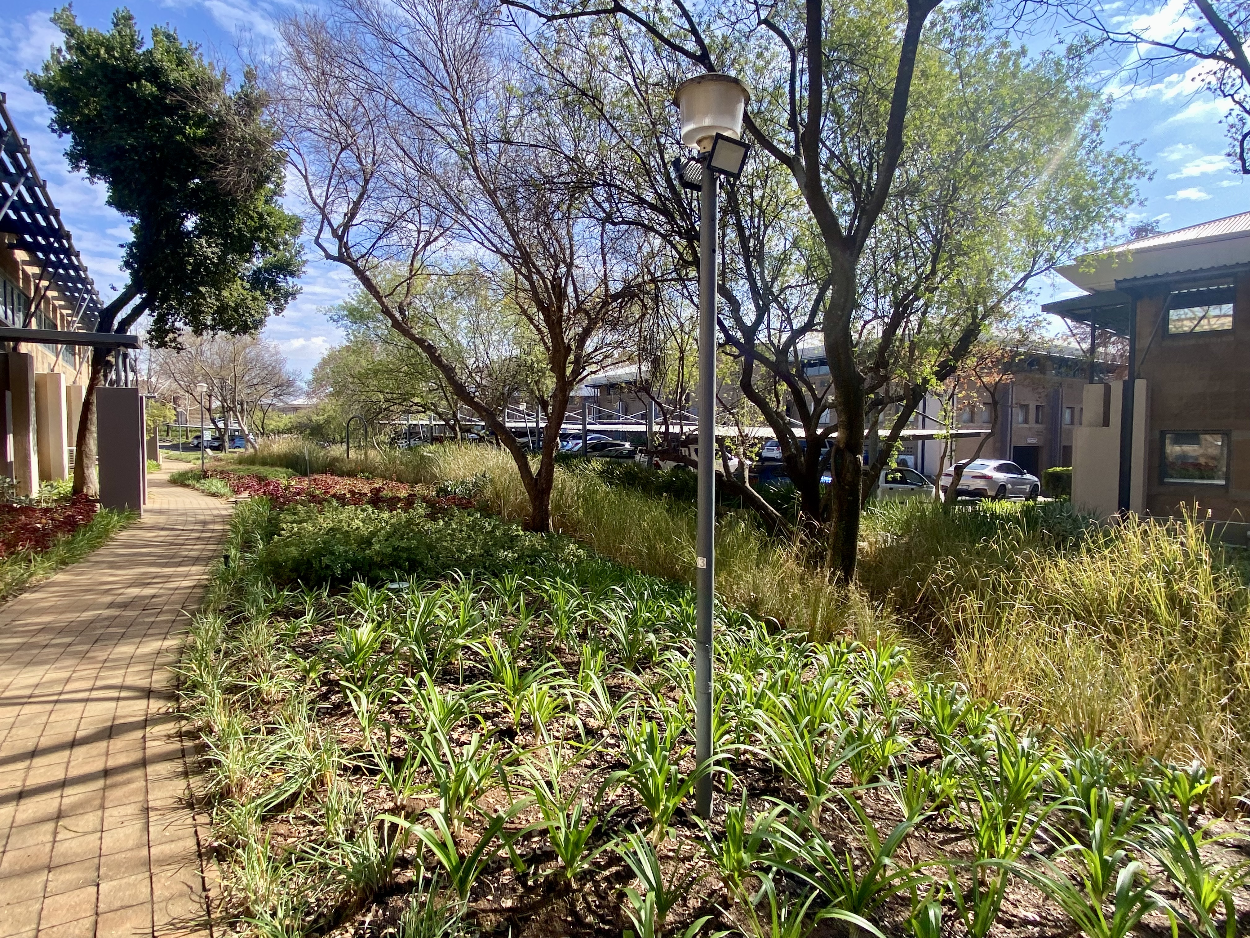 To Let commercial Property for Rent in Randjespark Gauteng