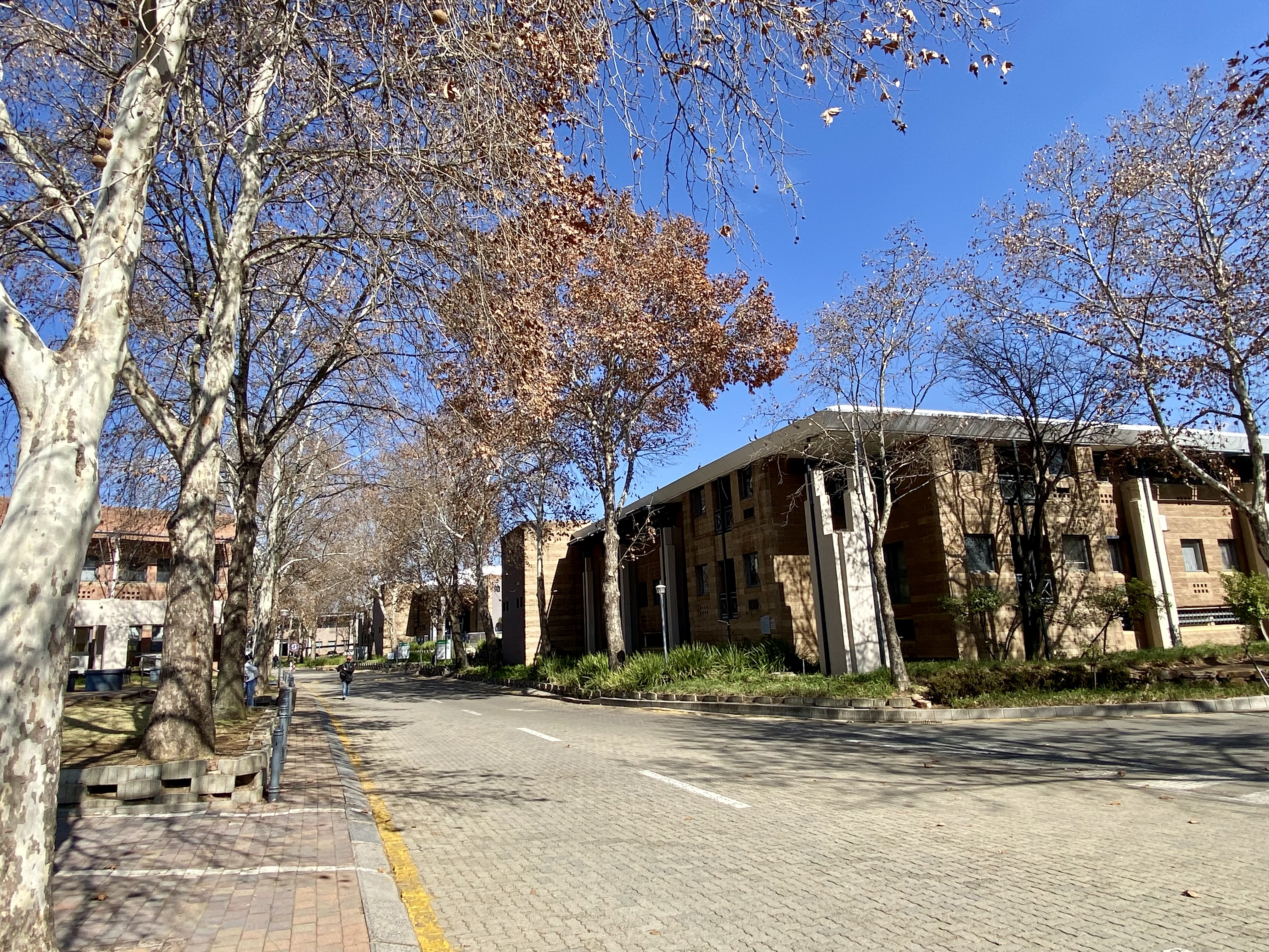 To Let commercial Property for Rent in Randjespark Gauteng