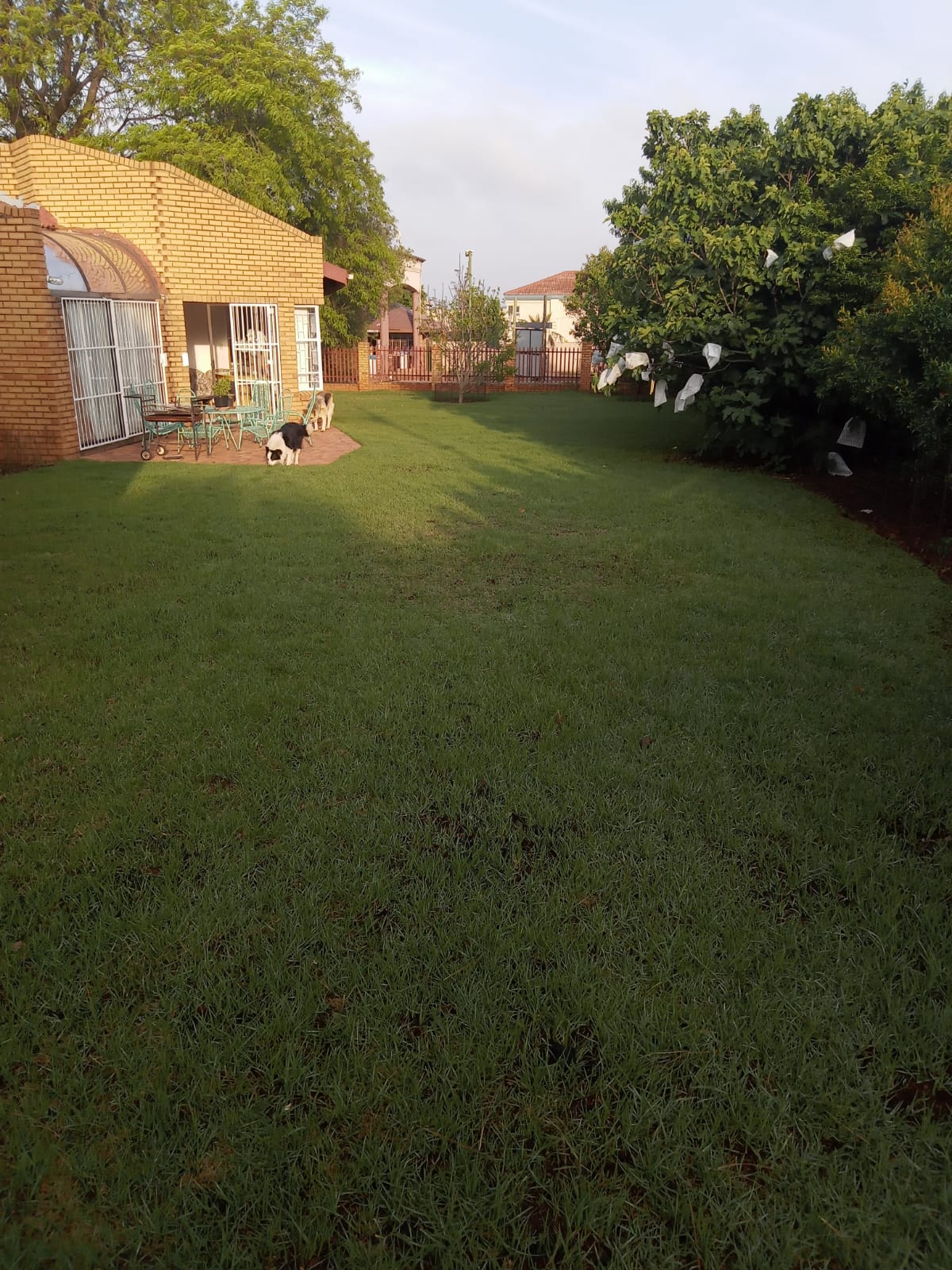 3 Bedroom Property for Sale in Sonneveld Gauteng