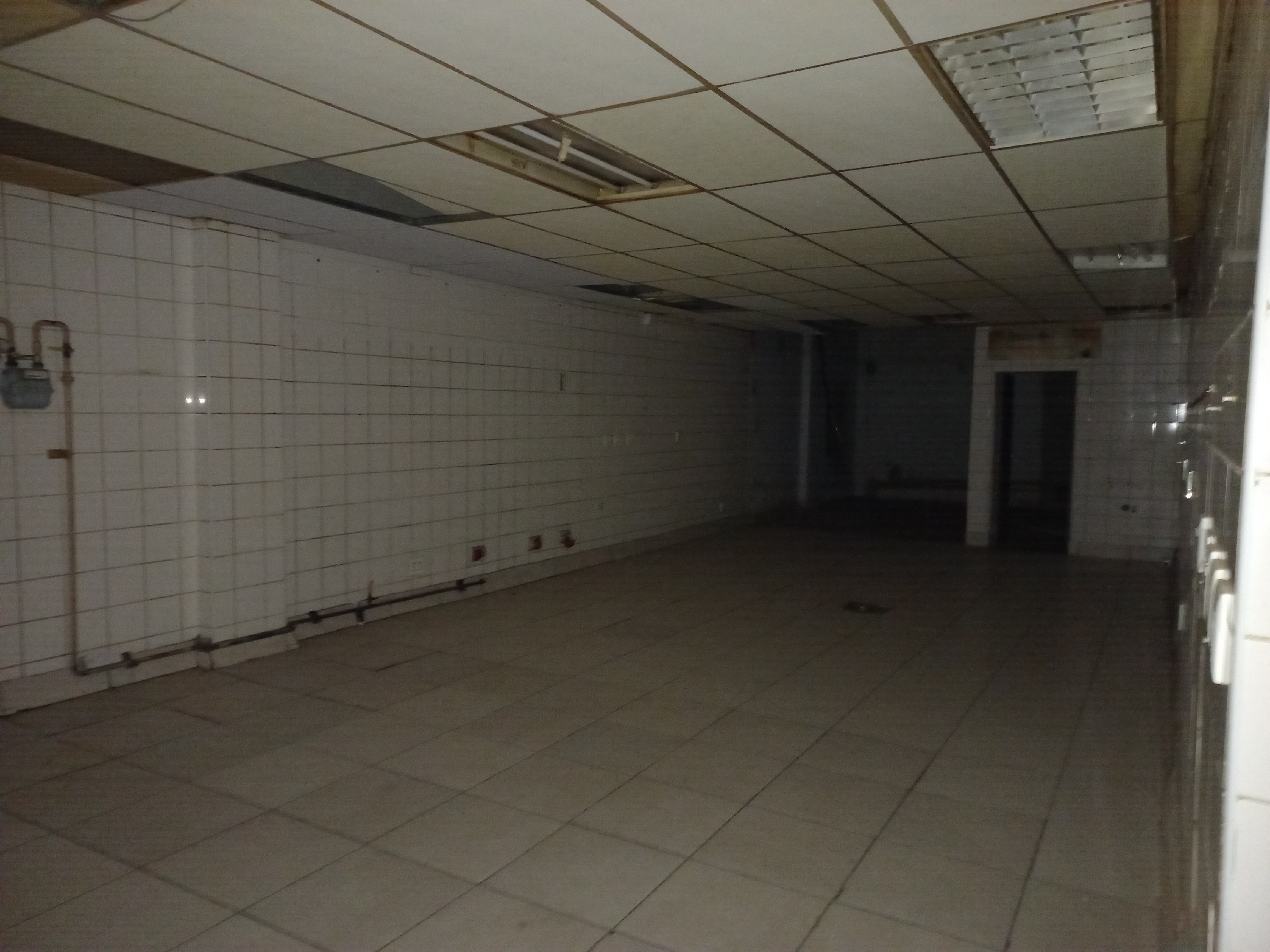 To Let commercial Property for Rent in Eastleigh Gauteng