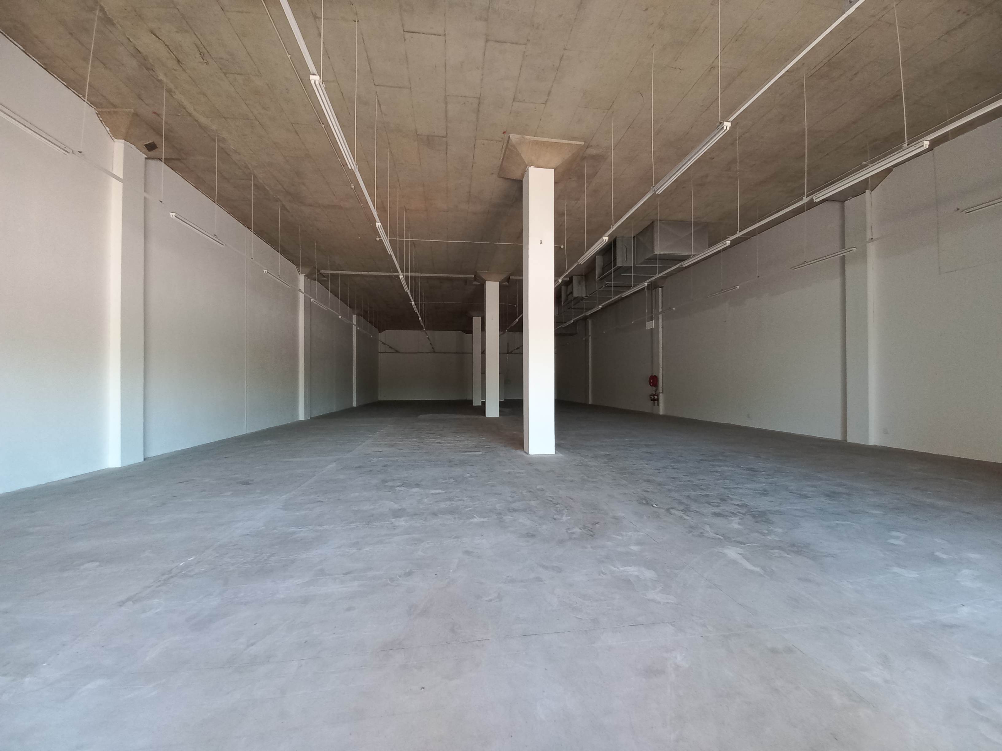 Commercial Property for Sale in Eastleigh Gauteng