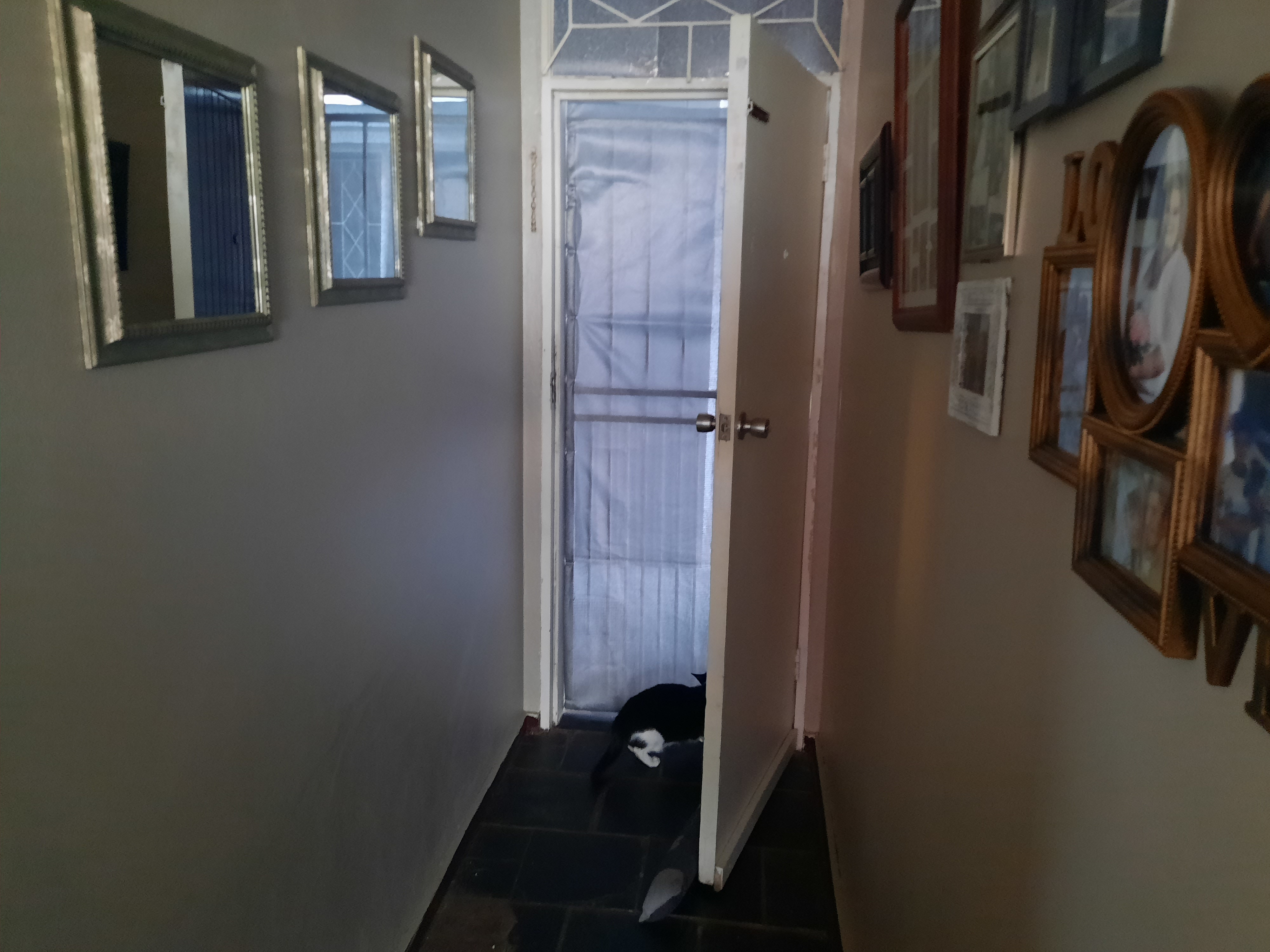 To Let 2 Bedroom Property for Rent in Alberton North Gauteng