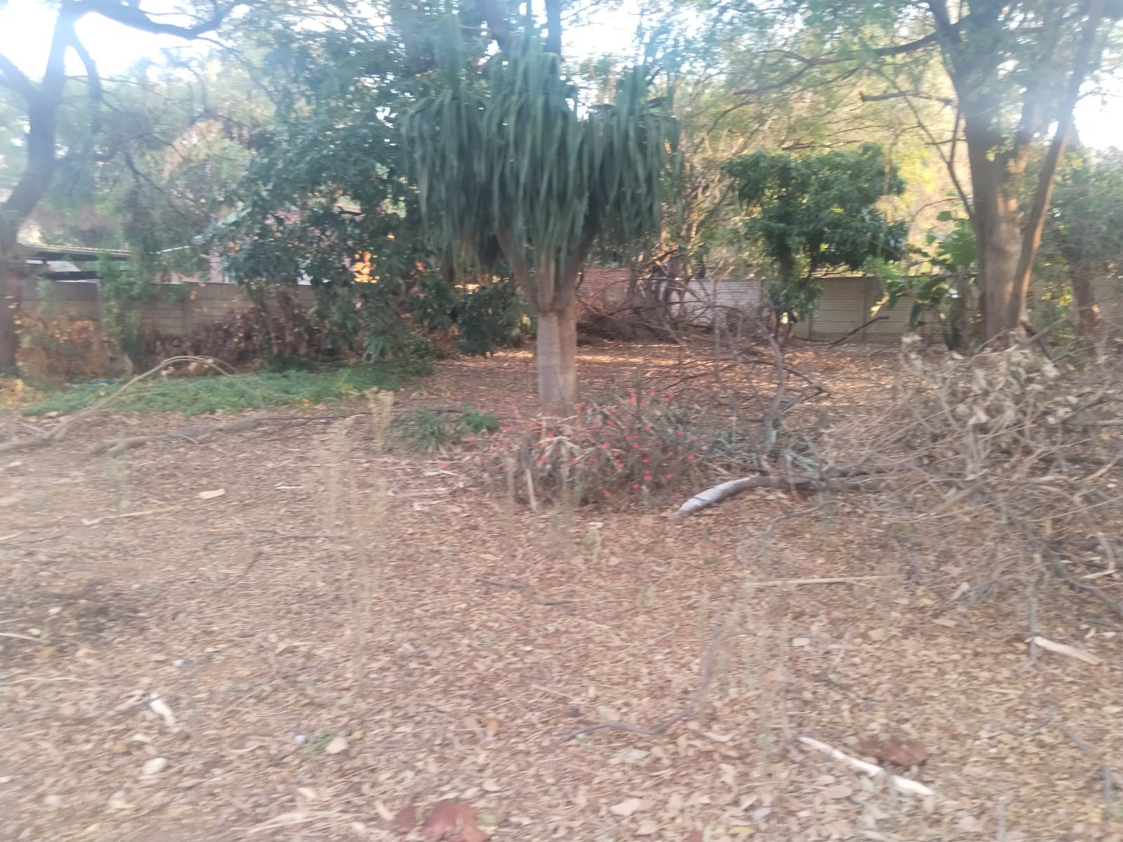 0 Bedroom Property for Sale in Florauna Gauteng