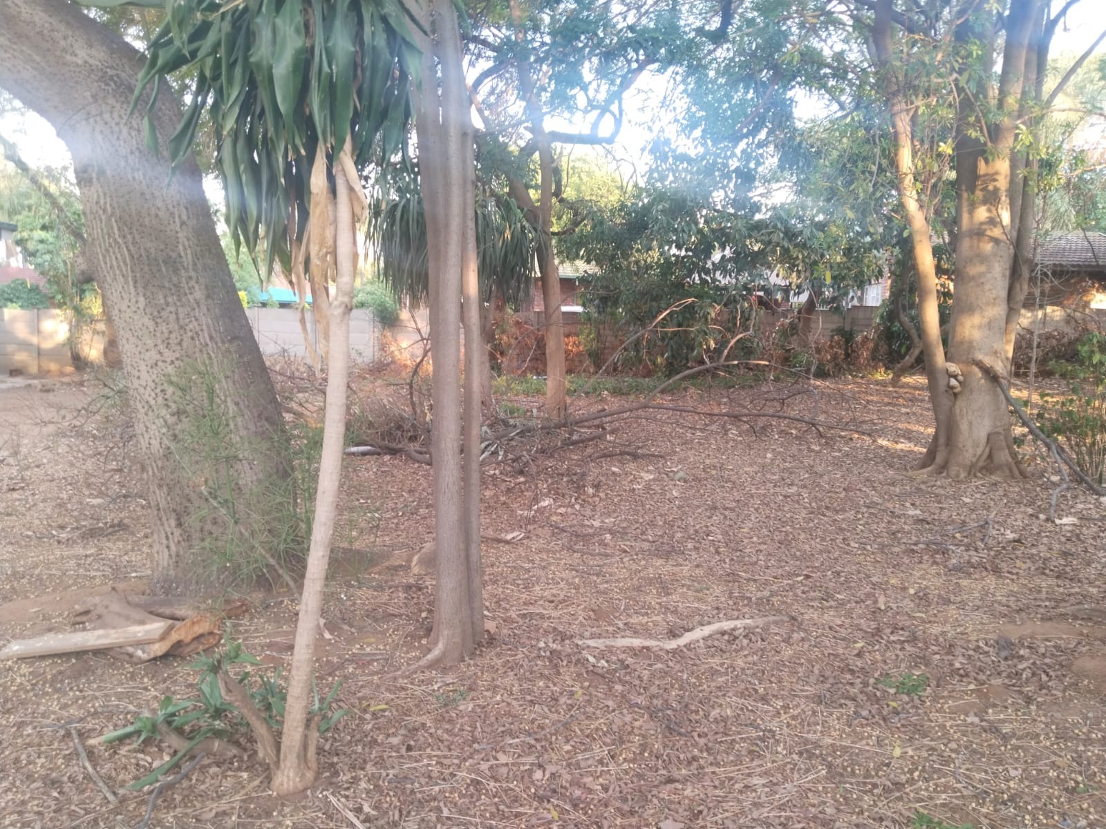 0 Bedroom Property for Sale in Florauna Gauteng