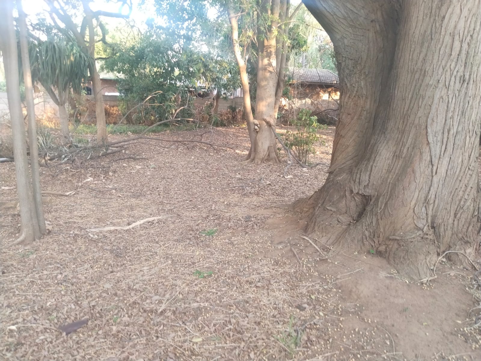 0 Bedroom Property for Sale in Florauna Gauteng