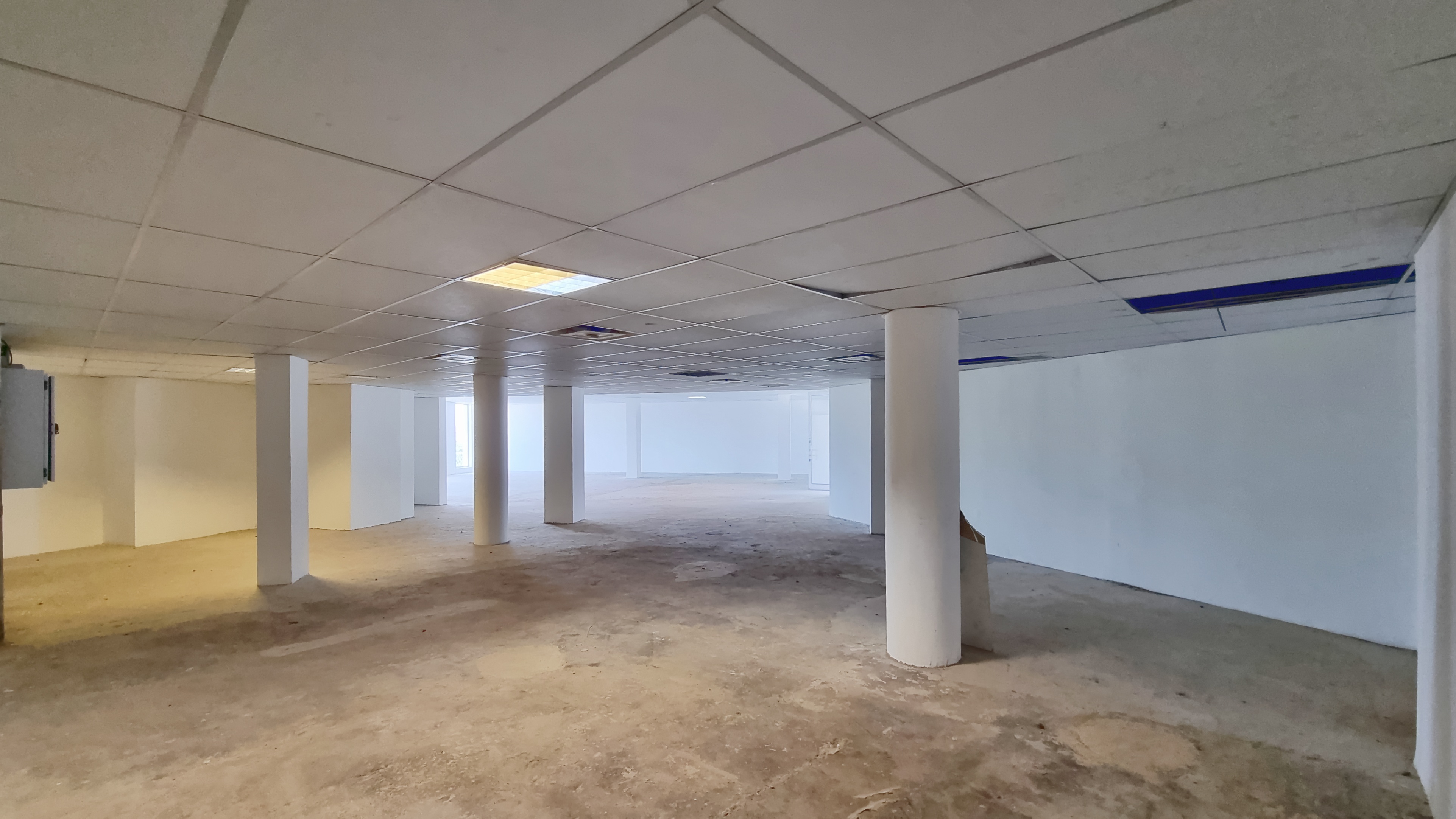 To Let commercial Property for Rent in Illovo Gauteng