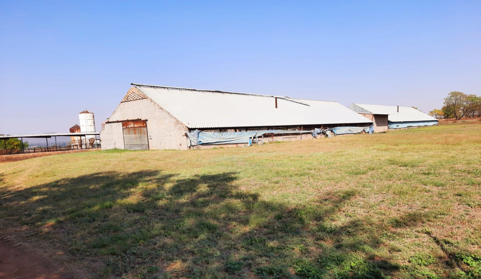 Commercial Property for Sale in Haakdoornboom Gauteng