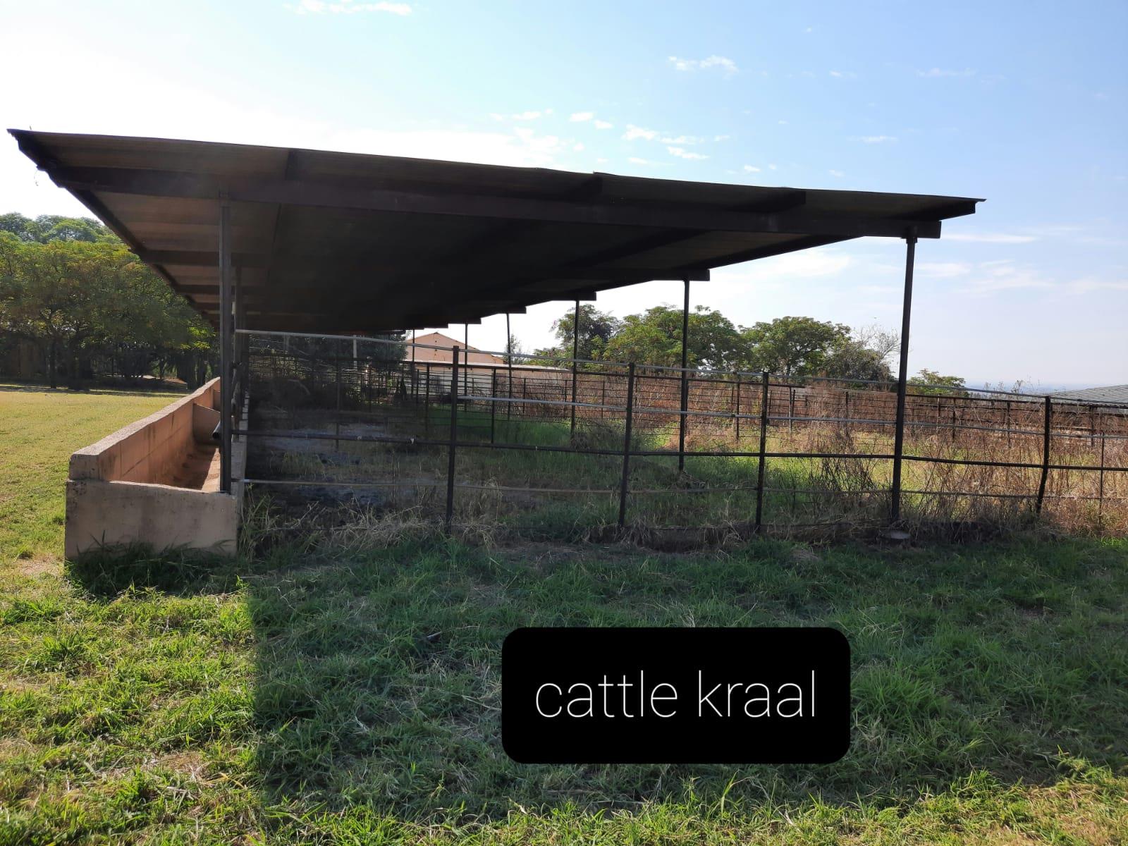 Commercial Property for Sale in Haakdoornboom Gauteng