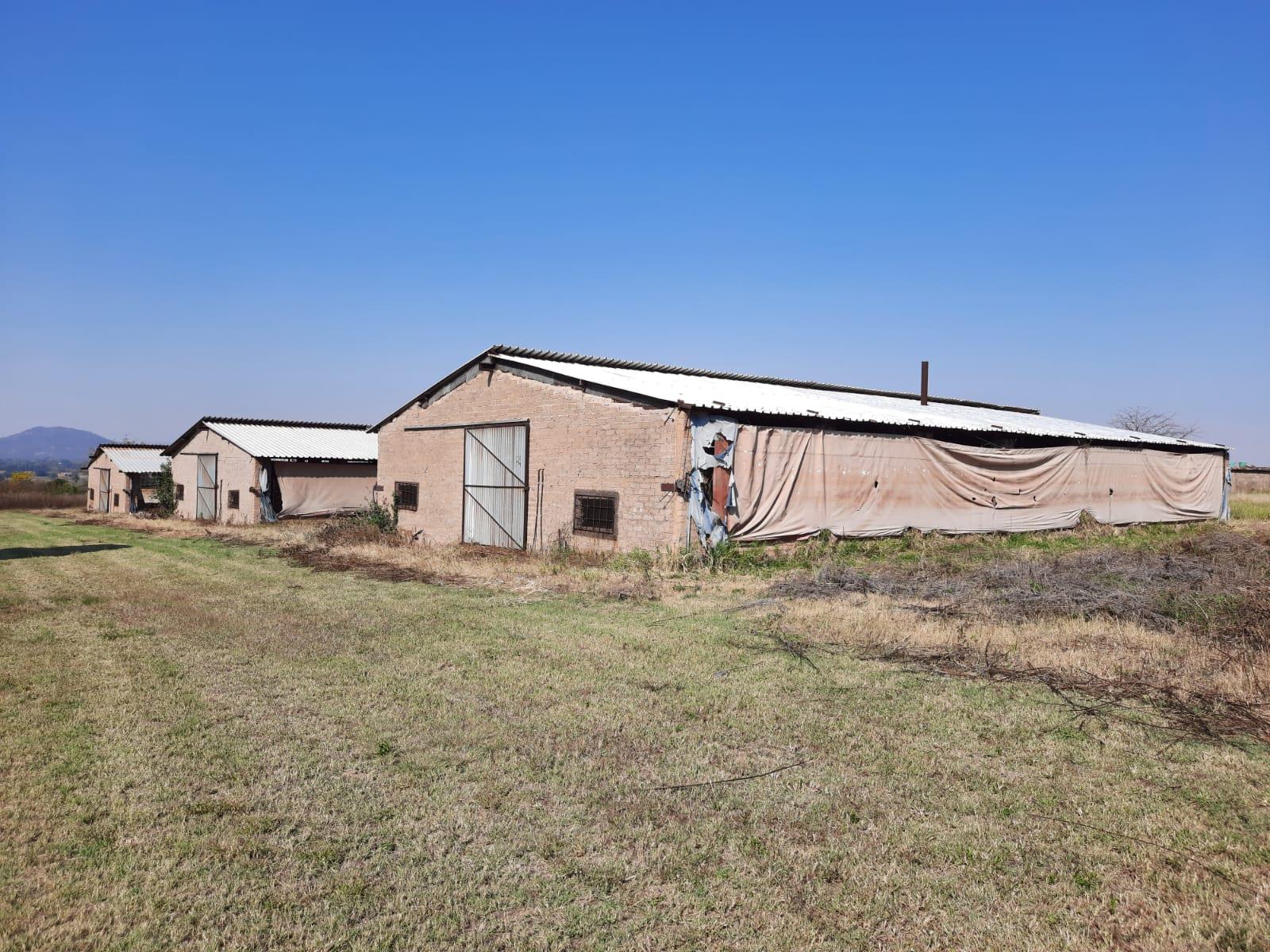 Commercial Property for Sale in Haakdoornboom Gauteng