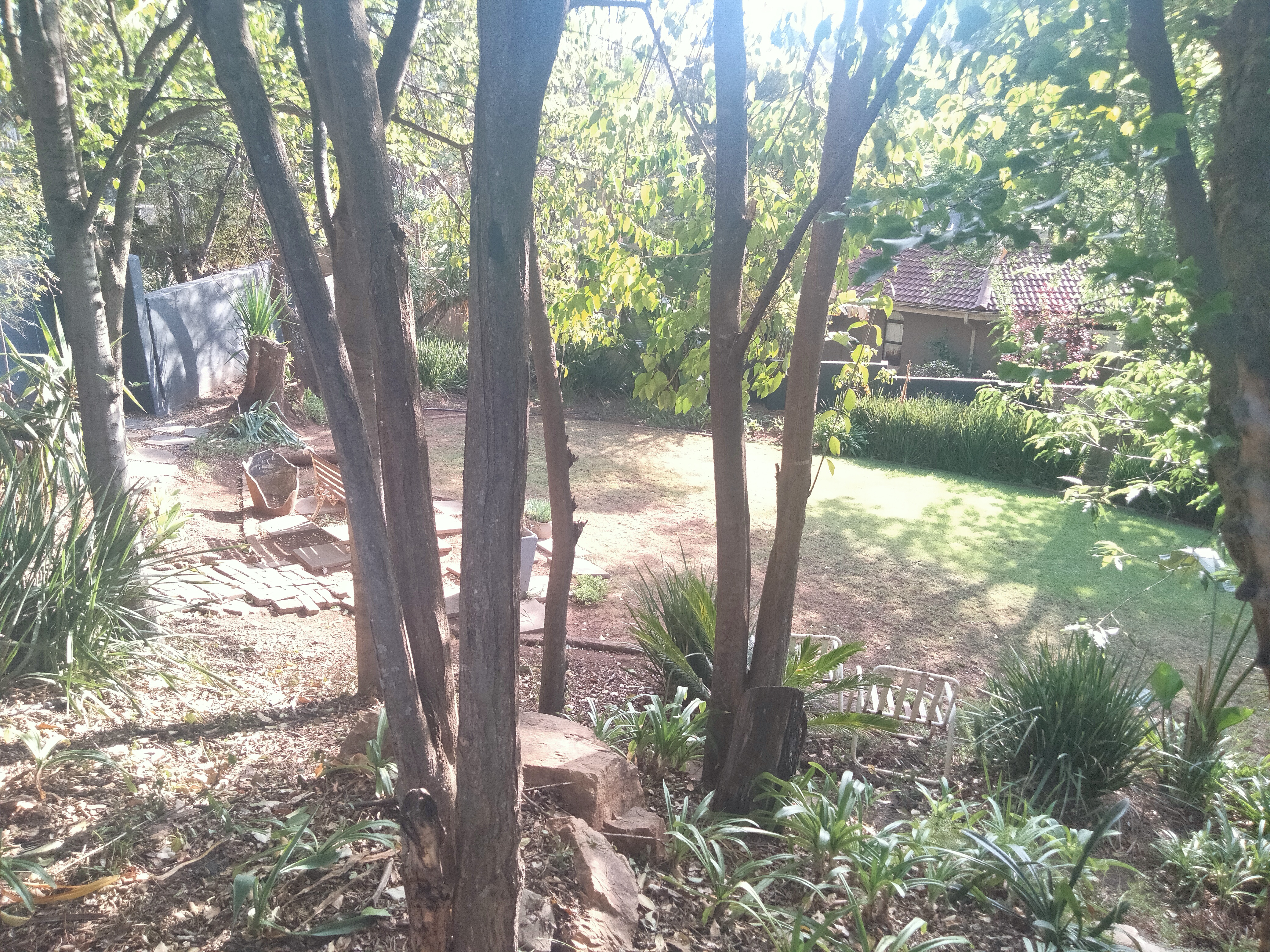 3 Bedroom Property for Sale in Noordheuwel Gauteng