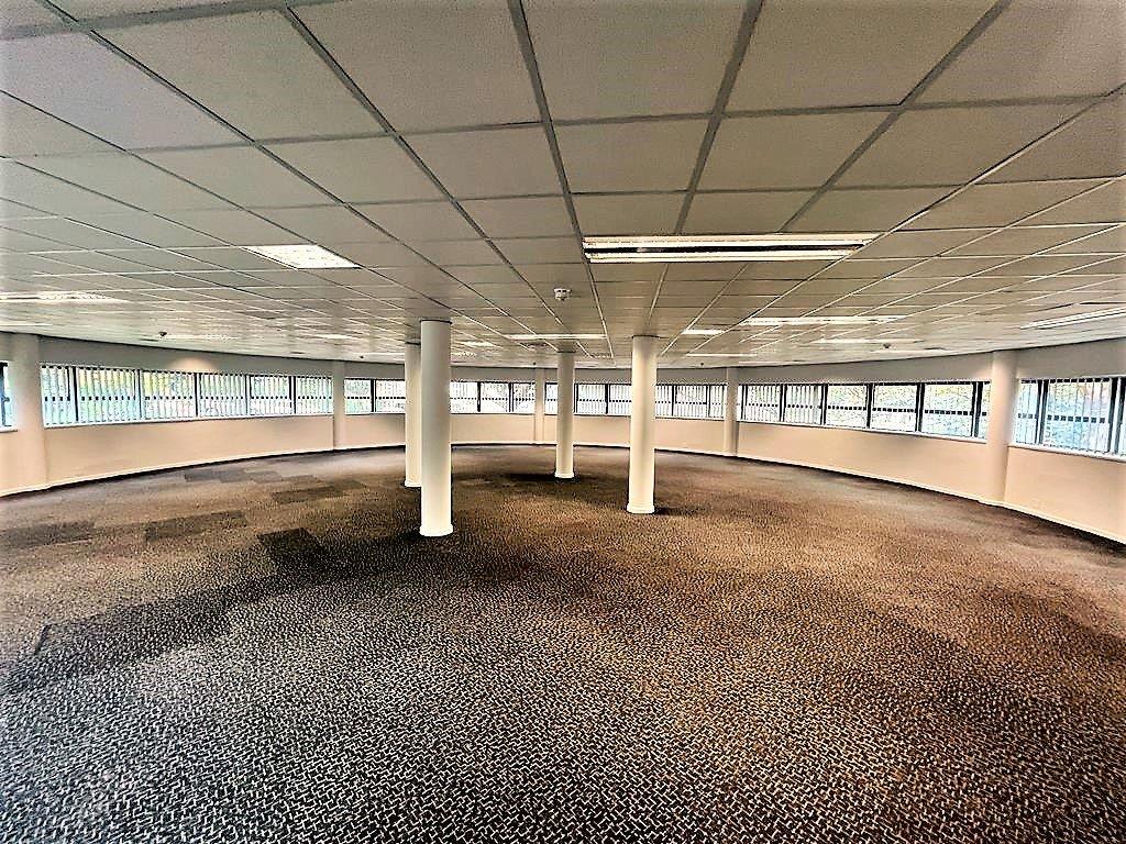 To Let commercial Property for Rent in Parktown Gauteng